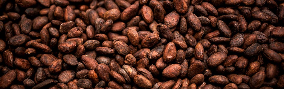 Fèves de Cacao BIO (concassées, non torréfiées) - riche en antioxydants
