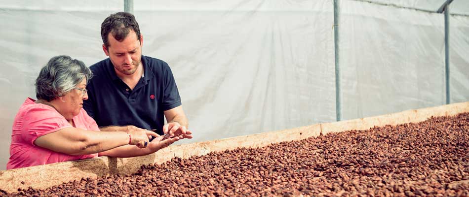 Cacao : composition, bienfaits, conseils pour bien le consommer