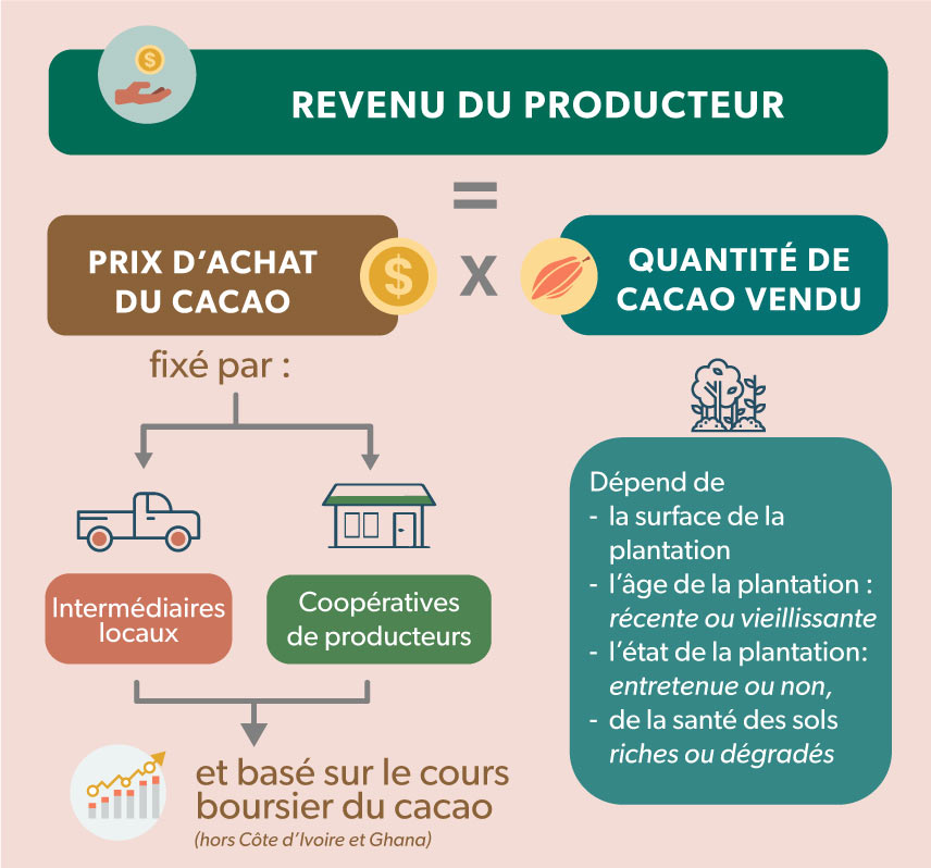 Schéma du revenu du producteur de cacao