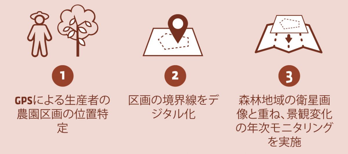 カカオのプランテーションが森林を侵食しないことをKAOKAがどのように保証しているのか