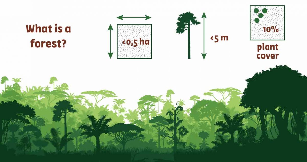 Diagram with definition of forest from FAO