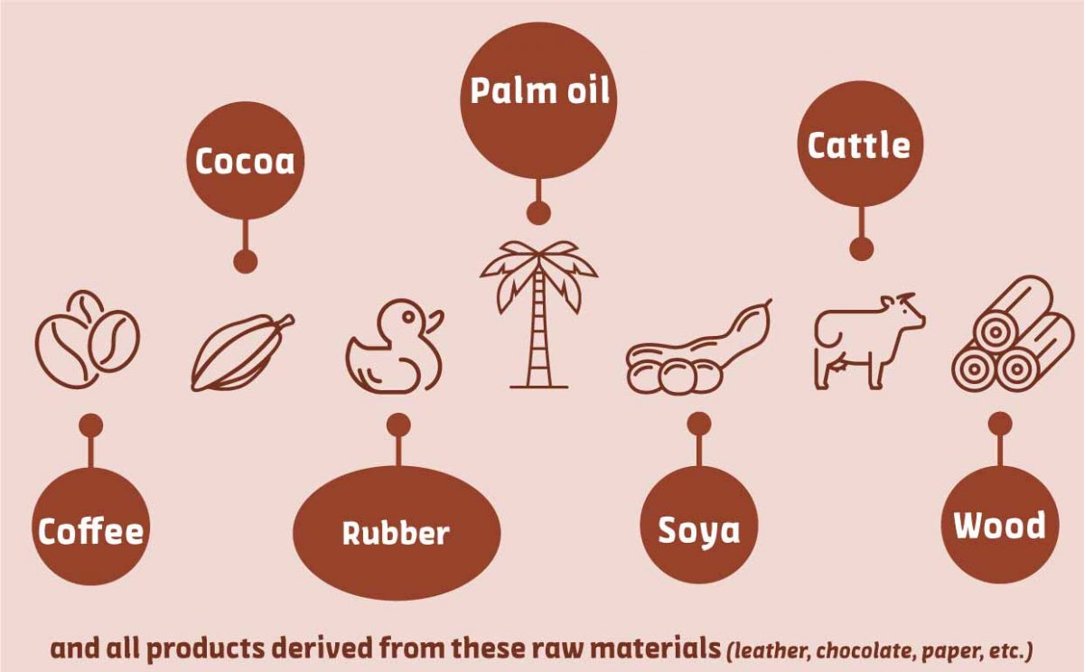 Diagram with prohibited products from deforestation sources