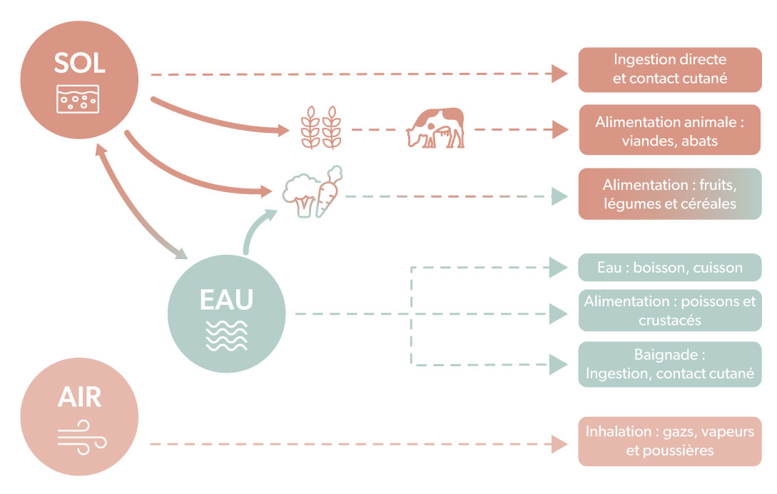 Schématisation des différentes sources de contamination par les métaux lourds