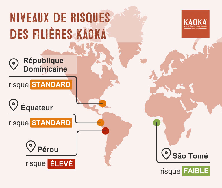 Niveaux de risques des filières kaoka