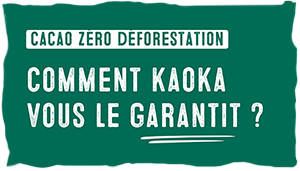 Cacao zéro déforestation : comment Kaoka vous le garantit ?