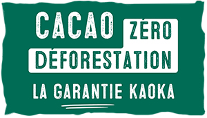 Cacao zéro déforestation : comment Kaoka vous le garantit ?