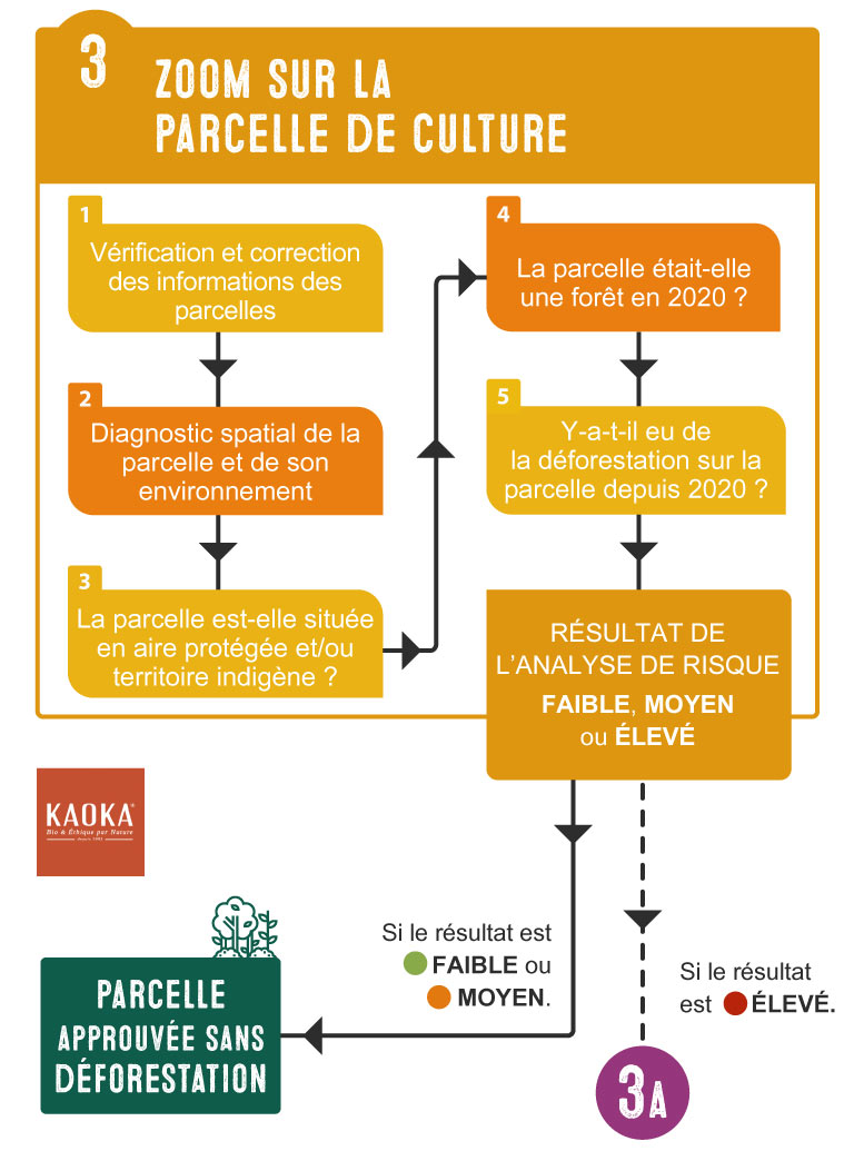 Étape 3 - Zoom sur la parcelle de culture